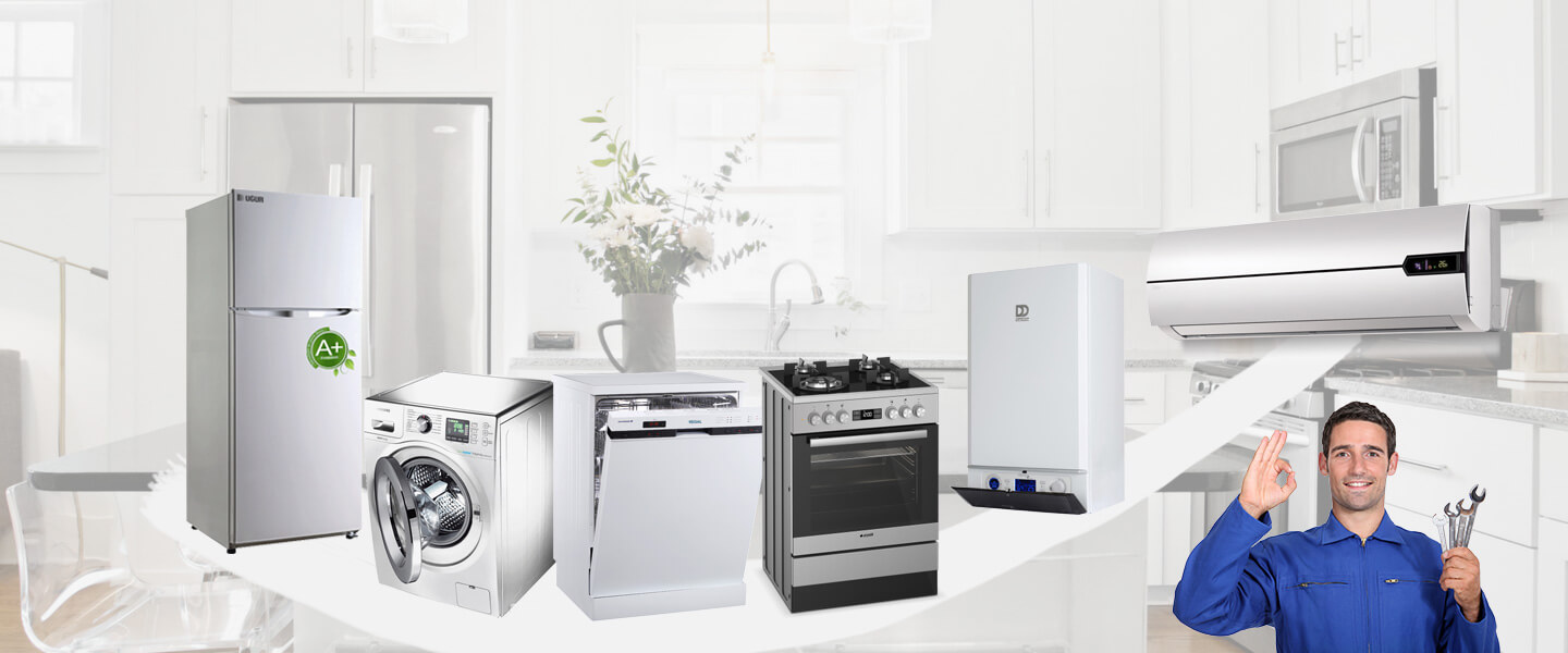 Ezine Protherm Servisi